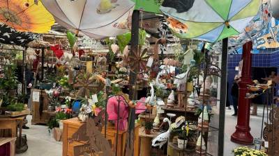 In der Markthalle in Colmar